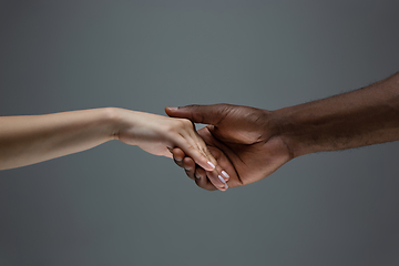 Image showing Racial tolerance. Respect social unity. African and caucasian hands gesturing isolated on gray studio background