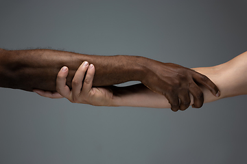 Image showing Racial tolerance. Respect social unity. African and caucasian hands gesturing isolated on gray studio background