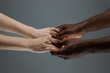 Image showing Racial tolerance. Respect social unity. African and caucasian hands gesturing isolated on gray studio background