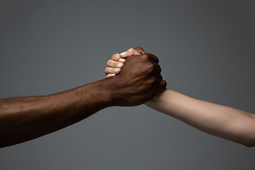 Image showing Racial tolerance. Respect social unity. African and caucasian hands gesturing isolated on gray studio background