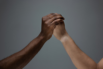 Image showing Racial tolerance. Respect social unity. African and caucasian hands gesturing isolated on gray studio background