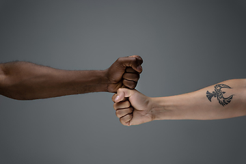 Image showing Racial tolerance. Respect social unity. African and caucasian hands gesturing isolated on gray studio background