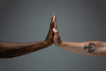 Image showing Racial tolerance. Respect social unity. African and caucasian hands gesturing isolated on gray studio background