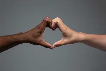 Image showing Racial tolerance. Respect social unity. African and caucasian hands gesturing isolated on gray studio background