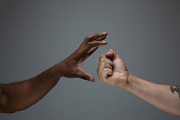 Image showing Racial tolerance. Respect social unity. African and caucasian hands gesturing isolated on gray studio background