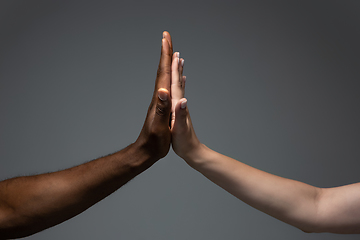 Image showing Racial tolerance. Respect social unity. African and caucasian hands gesturing isolated on gray studio background