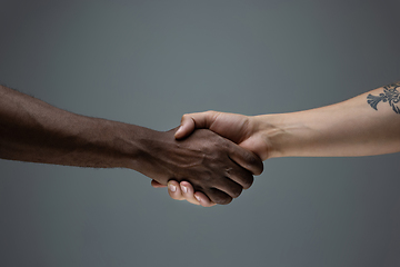 Image showing Racial tolerance. Respect social unity. African and caucasian hands gesturing isolated on gray studio background