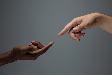 Image showing Racial tolerance. Respect social unity. African and caucasian hands gesturing isolated on gray studio background