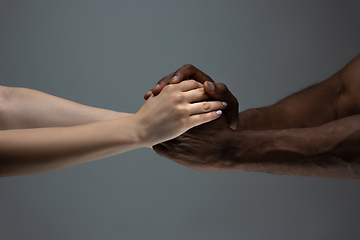 Image showing Racial tolerance. Respect social unity. African and caucasian hands gesturing isolated on gray studio background