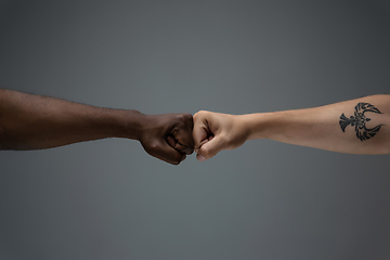 Image showing Racial tolerance. Respect social unity. African and caucasian hands gesturing isolated on gray studio background