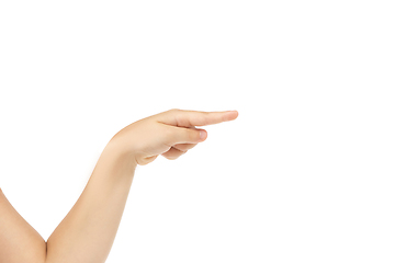 Image showing Children\'s hand, palm gesturing isolated on white studio background