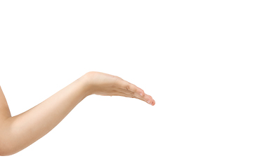 Image showing Children\'s hand, palm gesturing isolated on white studio background