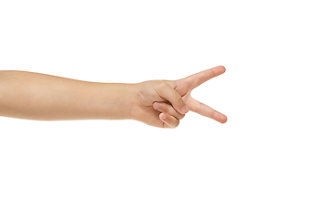 Image showing Children\'s hand, palm gesturing isolated on white studio background