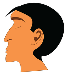 Image showing Long nose man vector or color illustration