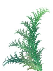 Image showing Fern texture