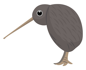 Image showing Clipart of the Kiwi brown bird set on isolated white background 