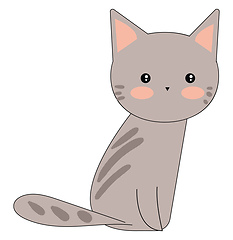 Image showing Portrait of a cute grey cat sitting against white background vie