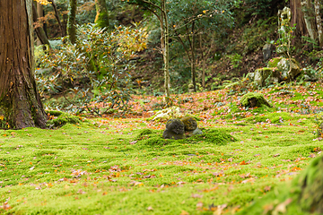 Image showing Sanzenin Warabe Jizo