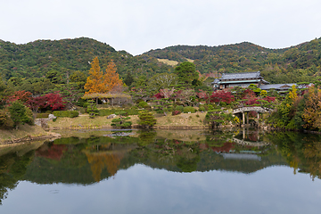 Image showing Autumn Japanese garden