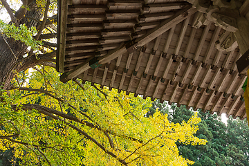 Image showing Japanese temple and tree