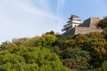 Image showing Japanese Marugame Castle