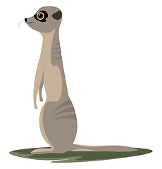 Image showing Standing meerkat vector or color illustration