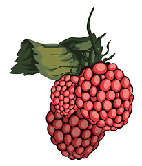 Image showing Vector illustration of red rasberry fruit with green leaf white 