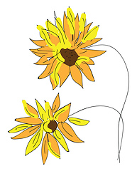 Image showing Abstract yellow sunflowers vector illustration on white backgrou