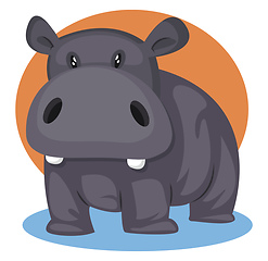 Image showing Gey Pig, vector color illustration.