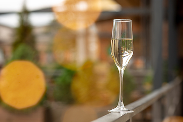 Image showing Glass of sparkling champagne, close up. Warm colored. Celebration event, holidays, drinks concept