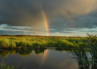 Image showing The evening rainbow.