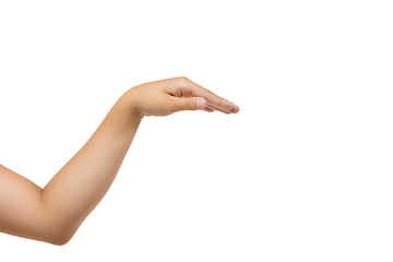 Image showing Children\'s hand, palm gesturing isolated on white studio background