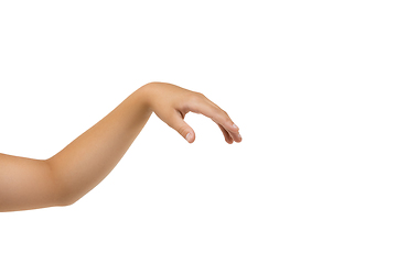 Image showing Children\'s hand, palm gesturing isolated on white studio background