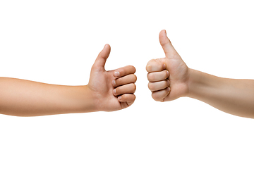 Image showing Children\'s hand, palm gesturing isolated on white studio background