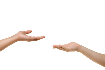 Image showing Children\'s hand, palm gesturing isolated on white studio background