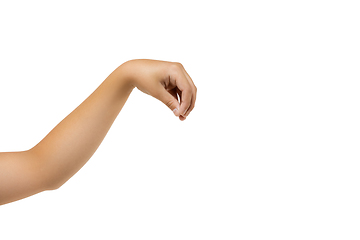 Image showing Children\'s hand, palm gesturing isolated on white studio background