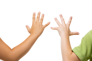 Image showing Children\'s hand, palm gesturing isolated on white studio background