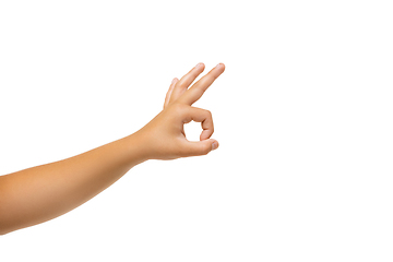 Image showing Children\'s hand, palm gesturing isolated on white studio background