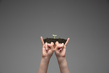 Image showing Human hands holding a fresh green plant, symbol of growing business, environmental conservation and bank savings. Planet in your hands.