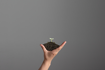 Image showing Human hands holding a fresh green plant, symbol of growing business, environmental conservation and bank savings. Planet in your hands.