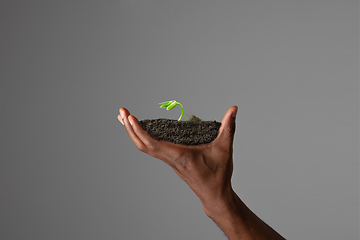 Image showing Human hands holding a fresh green plant, symbol of growing business, environmental conservation and bank savings. Planet in your hands.