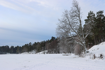 Image showing Norwegian winter landscape