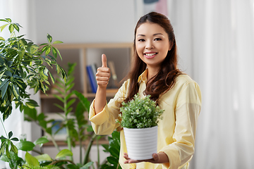 Image showing happy asian woman with flower in pot at home