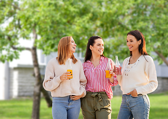 Image showing young women with non alcoholic drinks talking