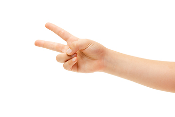 Image showing Children\'s hand, palm gesturing isolated on white studio background