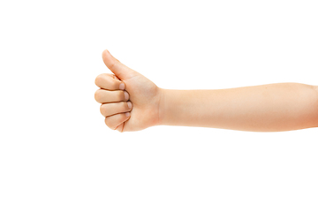 Image showing Children\'s hand, palm gesturing isolated on white studio background