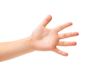 Image showing Children\'s hand, palm gesturing isolated on white studio background