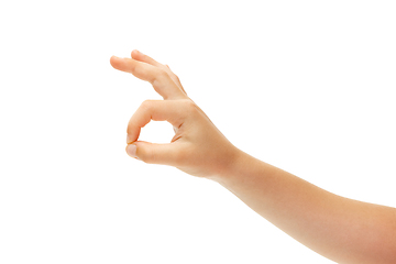 Image showing Children\'s hand, palm gesturing isolated on white studio background