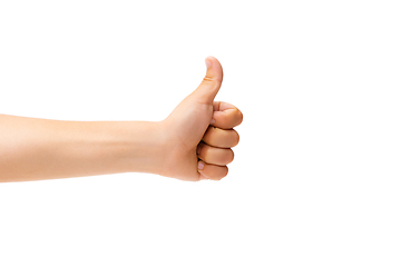 Image showing Children\'s hand, palm gesturing isolated on white studio background