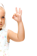 Image showing Little girl gesturing isolated on white studio background with copyspace